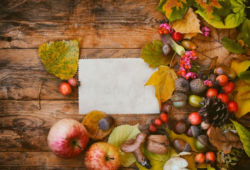 Autumn background, leaves, mushrooms, berries, nuts, on wooden table, retro toned, old blank paper tag