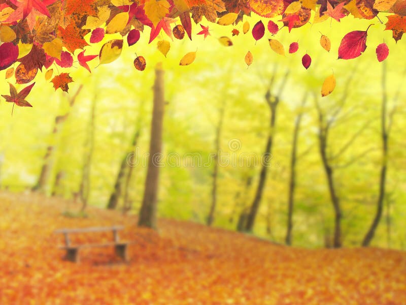 Autumn background 1