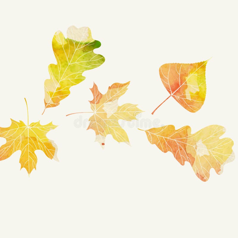 Autumn Background With Leaves