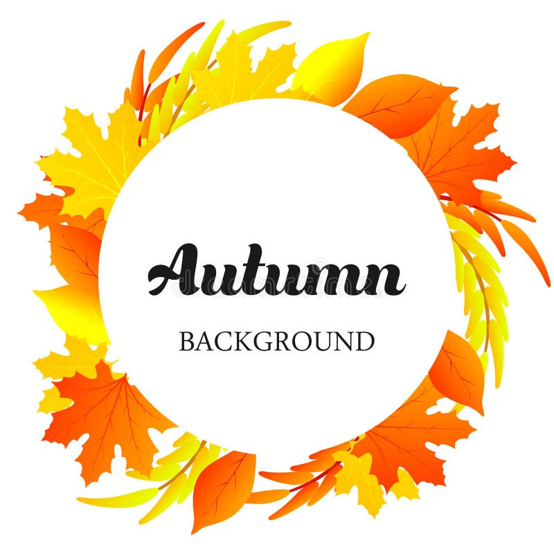 Autumn background natural colorful plant decoration fall leaves art. Graphic floral holiday outdoor element template. Flower