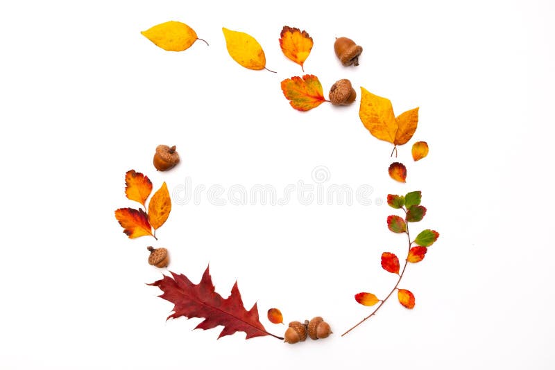 Autumn background with natural decor. Wreath made of autumn dried leaves. Flat lay, top view. Copy space for seasonal promotions and discounts. Fall, thanksgiving day concept