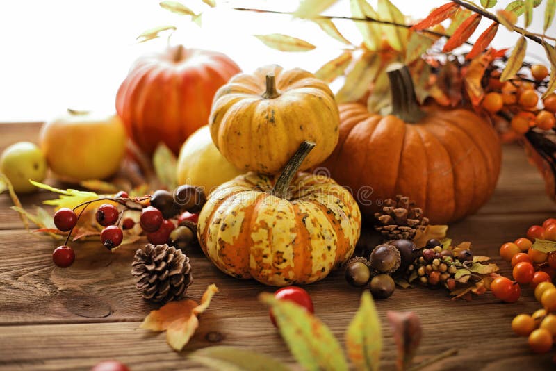 Autumn Background with Pumpkins and Colorful Leaves on Wooden ...