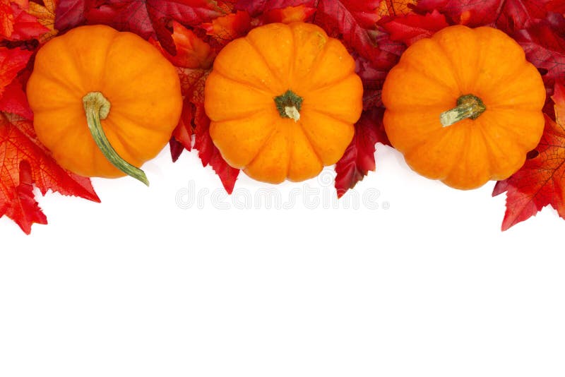 Autumn background with a pumpkins and red and orange fall leaves