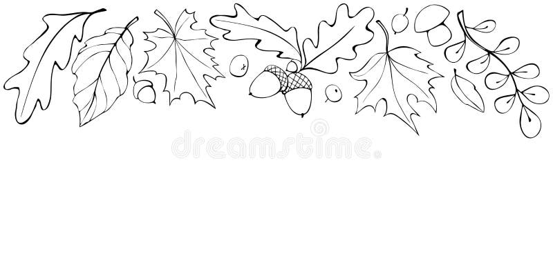 Autumn background with space and border of leaves, mushrooms, acorns, berries on upper edge