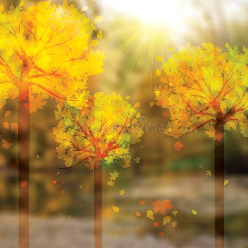 Autumn background with trees background