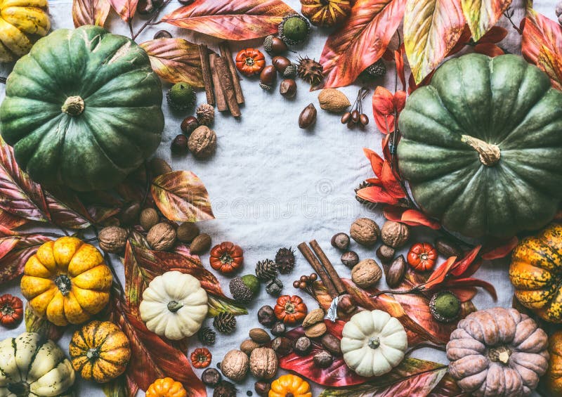 Autumn background with various colorful organic farm pumpkins, autumn leaves, nuts, cinnamon stick, acorns and chestnuts top view stock photo Autumn background with various colorful organic farm pumpkins, autumn leaves, nuts, cinnamon stick, acorns and chestnuts top view stock photo
