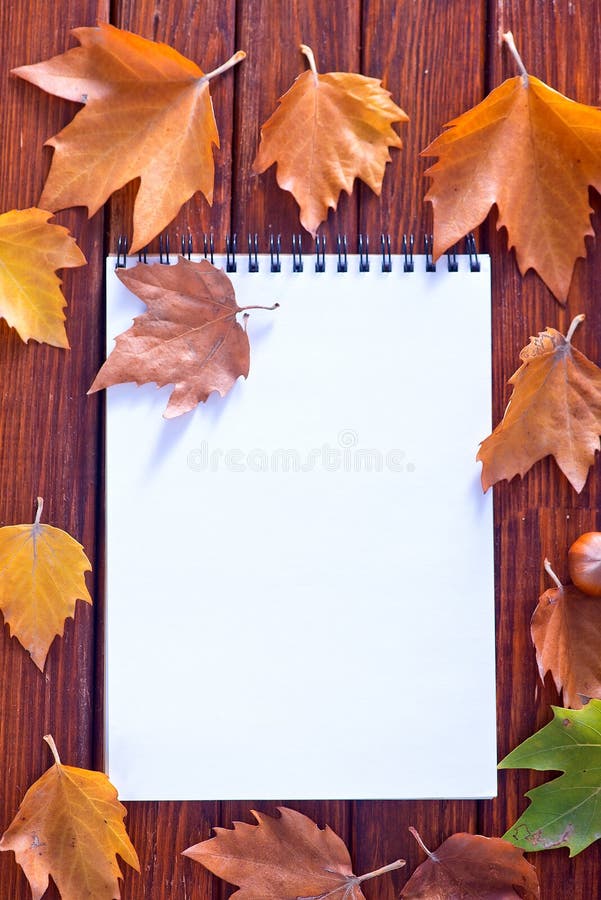 Autumn background