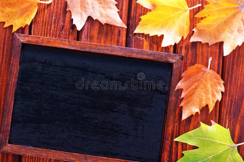 Autumn background