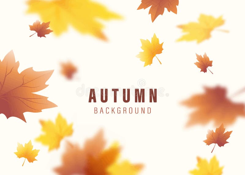 Autumn Background with Yellow Leaves Vector and Autumn Leaves Stock