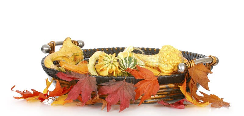 Autumn basket