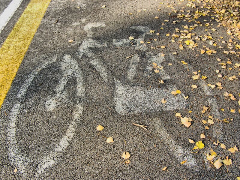 Autumn bicycle path