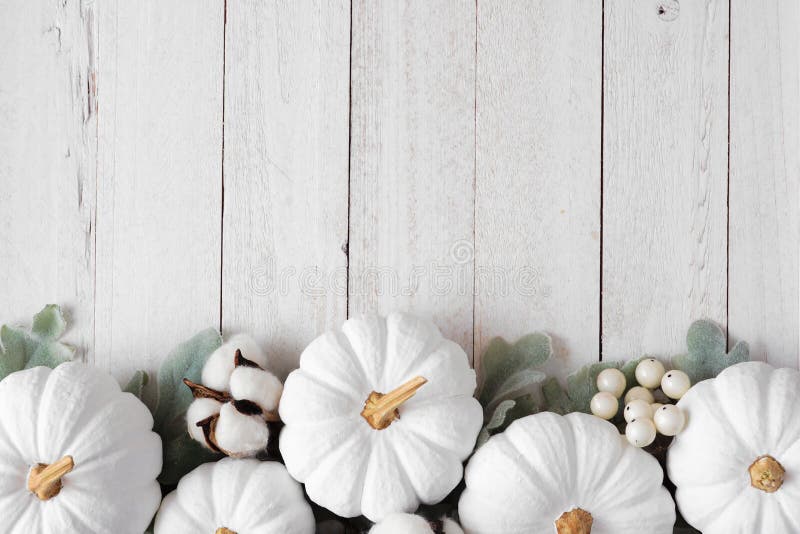 Những quả bí và lá màu trắng tinh khiết thật đẹp mắt! Hãy nhấp vào hình ảnh để chiêm ngưỡng những tác phẩm nghệ thuật này và cảm nhận sự thanh tịnh của mùa thu.