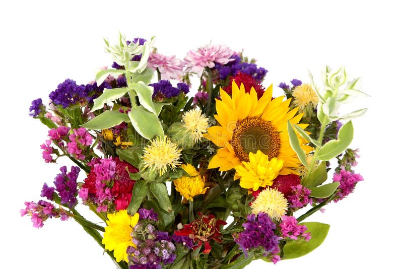 Autumn bouquet royalty free stock photo