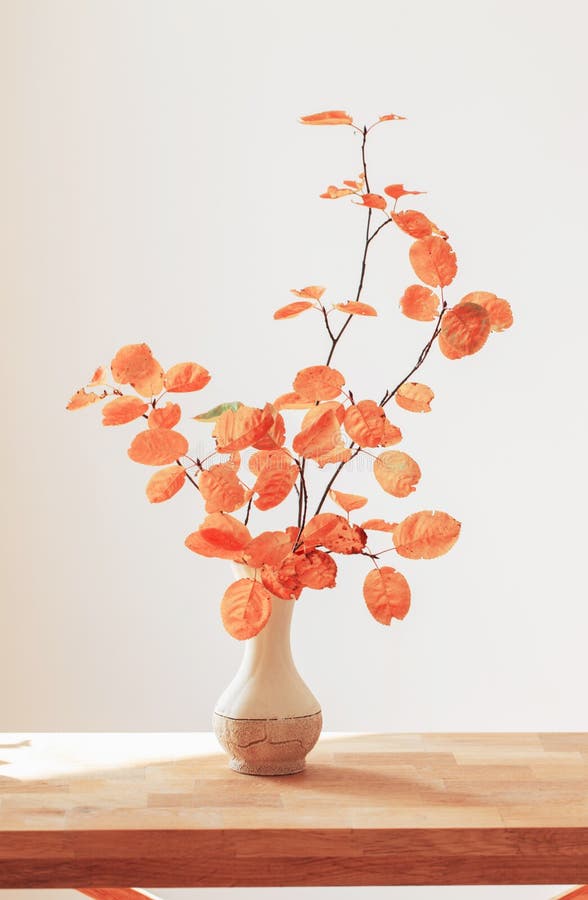 Branches with Orange Leaves in Vase on White Background Stock Image
