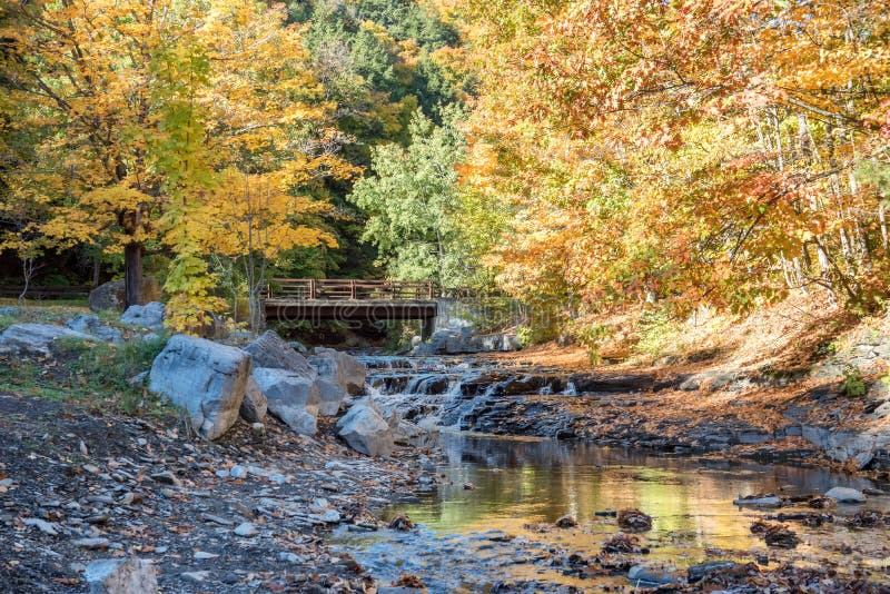 Autumn Bridge en Beek in het Park van de WetsteenGolfstaat