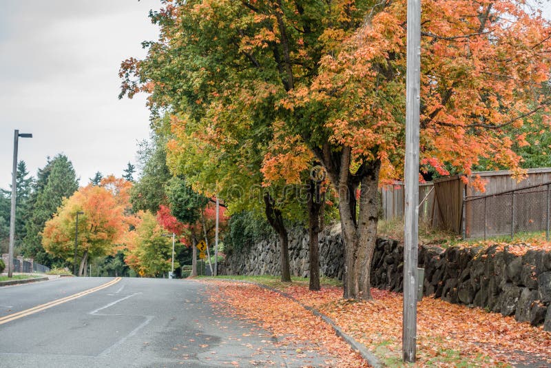 Autumn In Burien 6