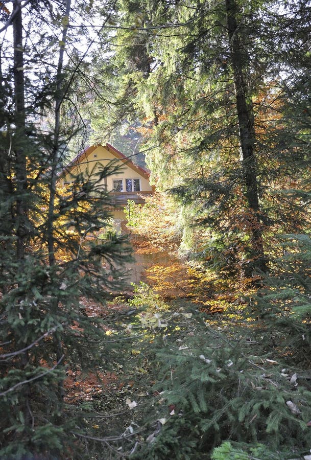 Autumn Cabin im Wald stockfotografie Autumn Cabin im Wald stockfotografie
