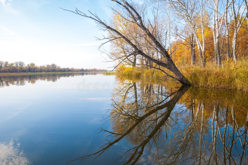 Autumn Calm on the Lake Reflection of Trees in Water Stock Photo ...