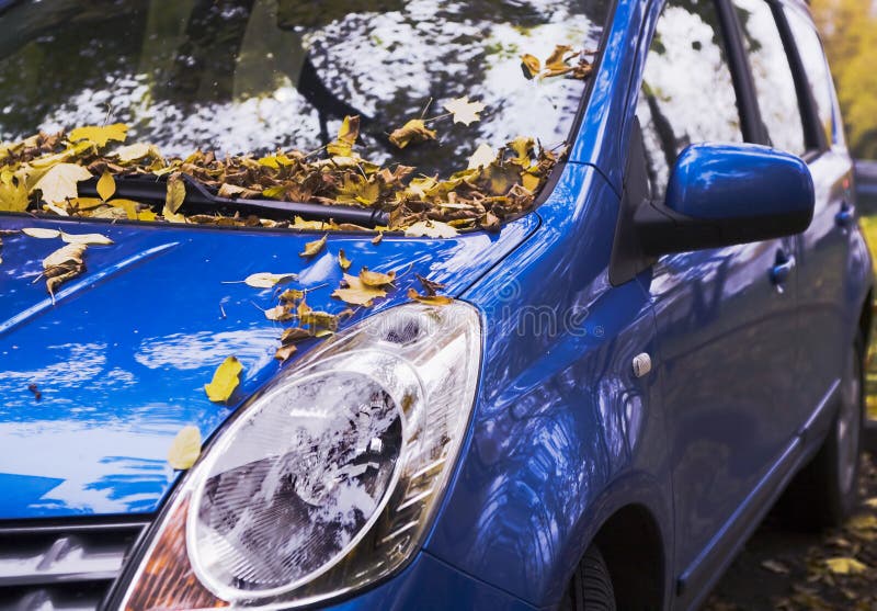 An autumn car