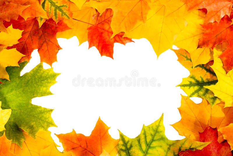 Autumn card of colored leafs on white background