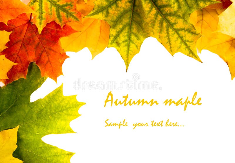 Autumn card of colored leafs on white background