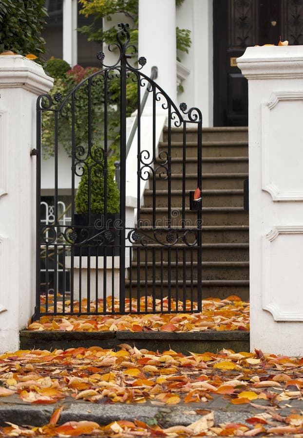Autumn Carpeting. royalty free stock images Autumn Carpeting. royalty free stock images