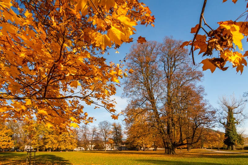 Podzimní zámecký park Budatín nedaleko Žiliny, Slovensko.