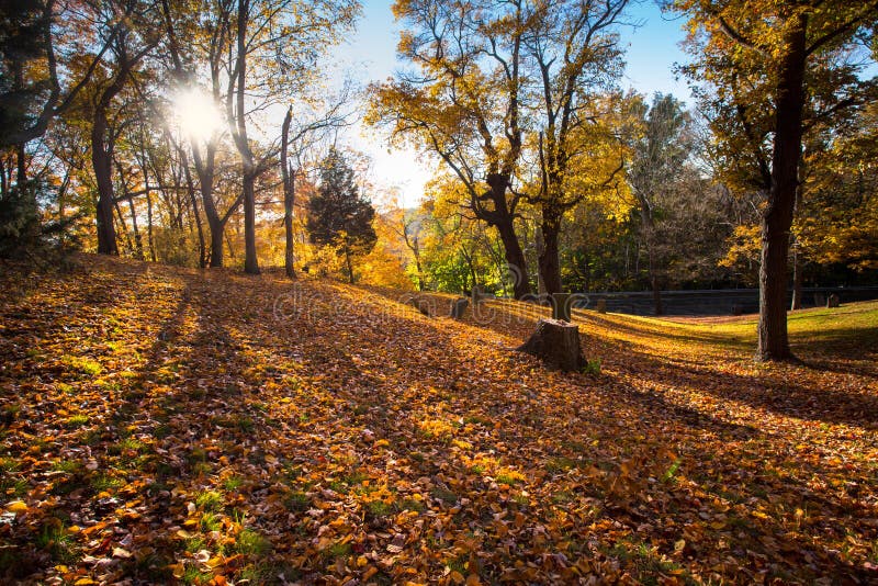 Hillside Cemetery Genoa City, Wisconsin Stock Image Image of death