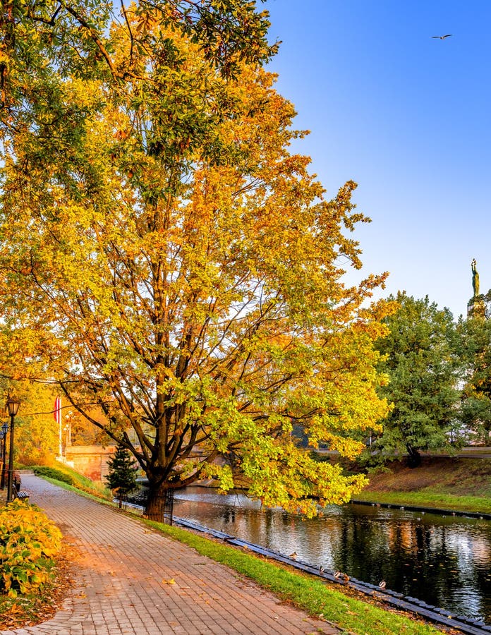 Autumn in central public park of Riga, Latvia, EC stock photos Autumn in central public park of Riga, Latvia, EC stock photos