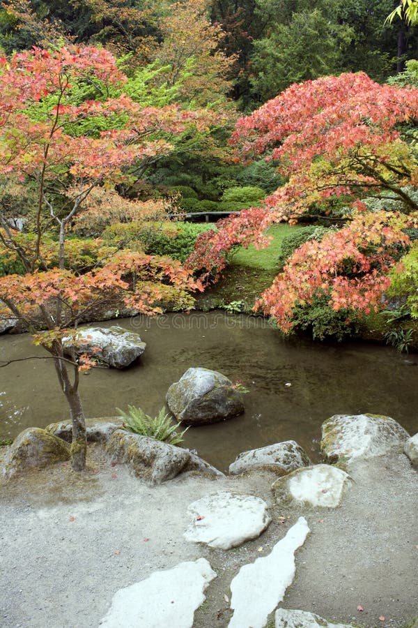 Autumn charm in Japanese garden