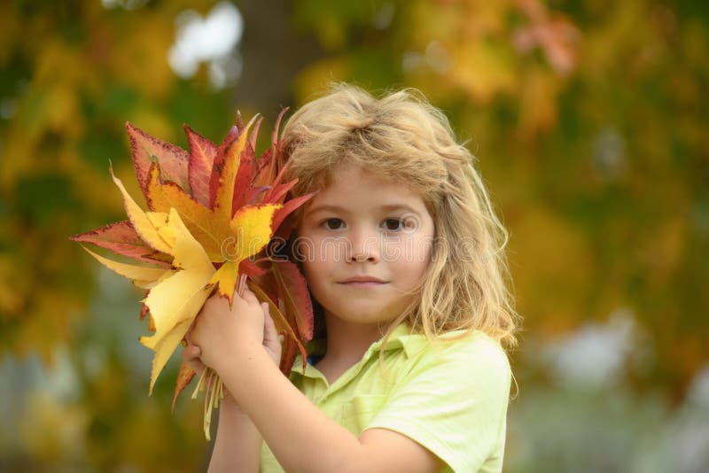 Autumn Child Portrait in Fall Yellow Leaves. Little Kid Boy Play with ...