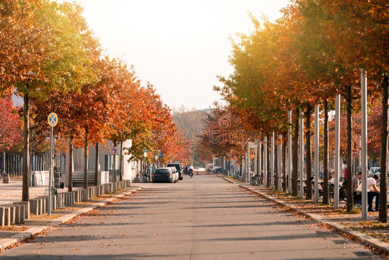 Autumn city street