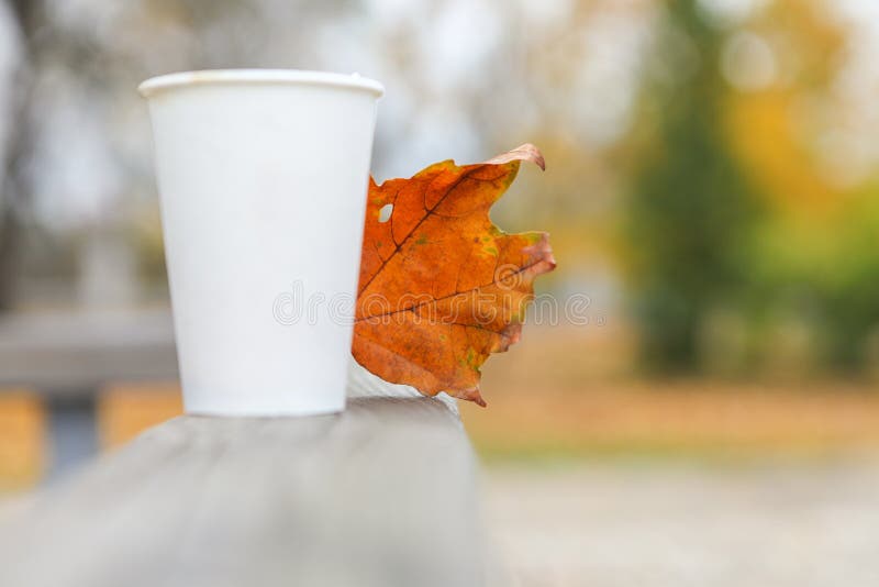 autumn, coffee cup, tea, hot drink, stock photo autumn, coffee cup, tea, hot drink, stock photo