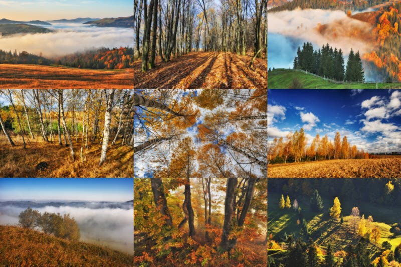 Autumn Collage stock photo