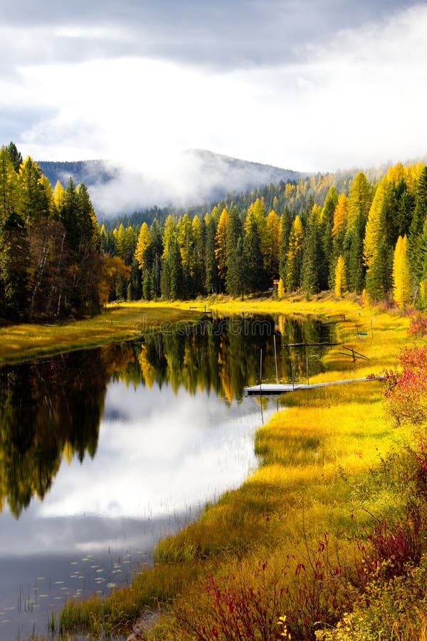 Autumn Color along the Stream