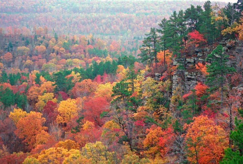 Autumn Color in the Ozarks royalty free stock photos