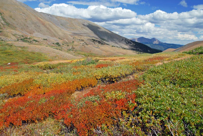 Autumn Color in the Sawatch Range, Colorado Rockies, USA