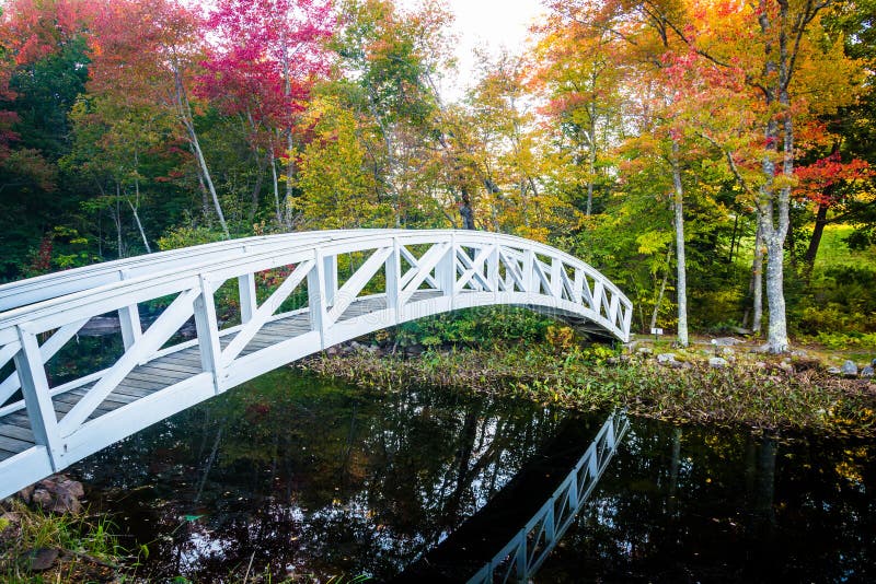 Autumn color and walking bridge over a pond in Somesville, Maine