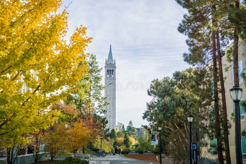 Autumn colored trees in the UC Berkeley campus stock photo