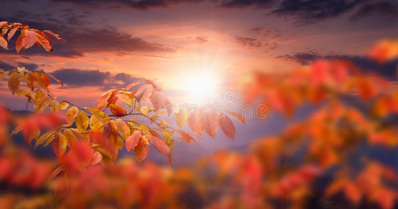 autumn sunset wallpaper