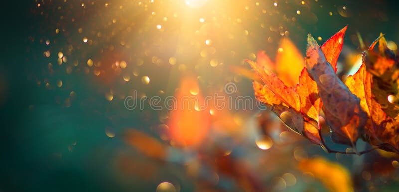 Autumn colorful bright leaves swinging in a tree in autumnal park. Autumn colorful background