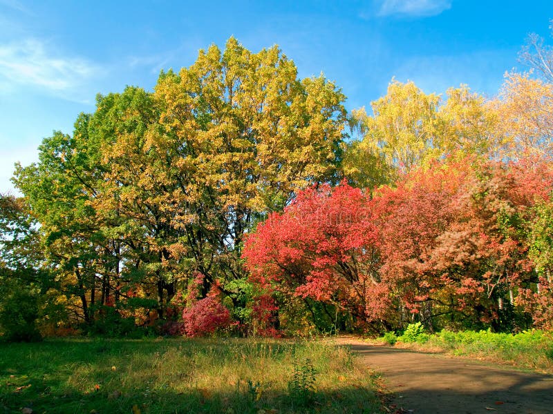 Autumn colorful park stock photos