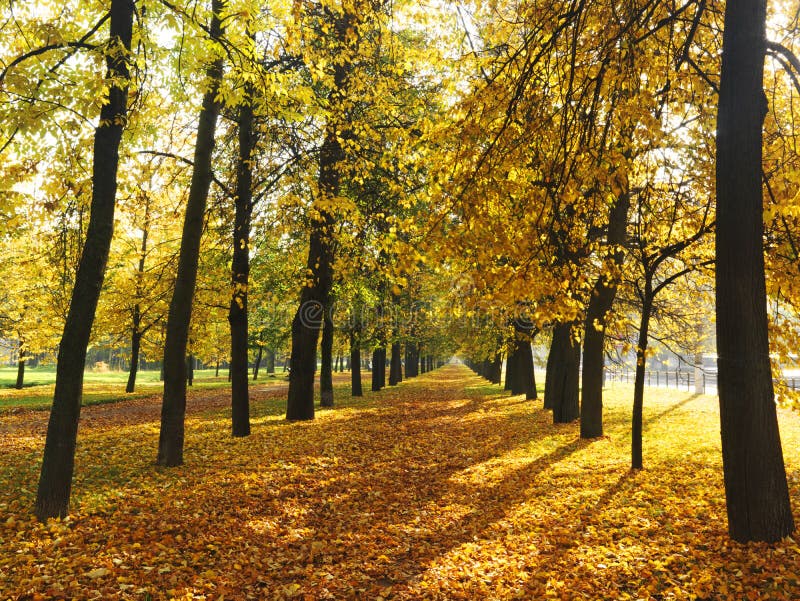 Podzimní barvy ve veřejný park.