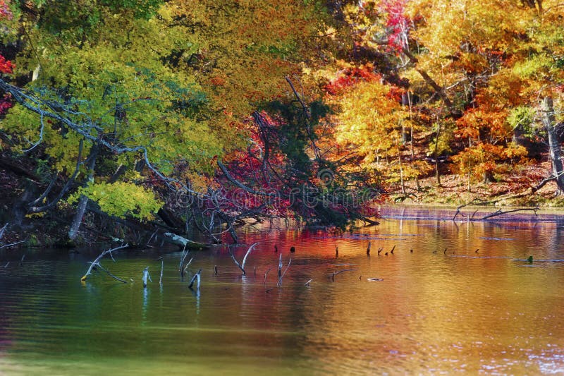 Autumn Colors Along the Shore of Bays Mountain Lake Stock Image - Image