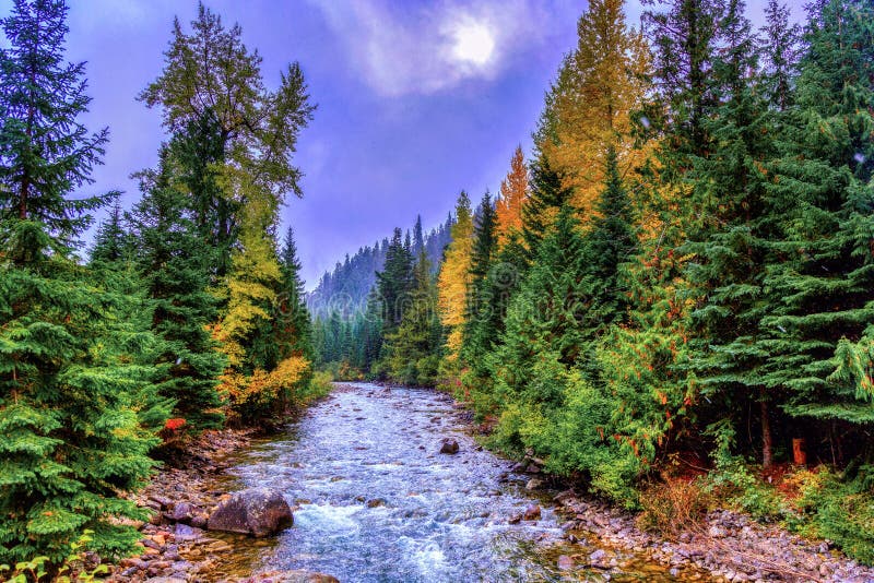 Autumn at Cayoosh Creek, Duffey Lake Road, Sea to Sky Highway, Canada