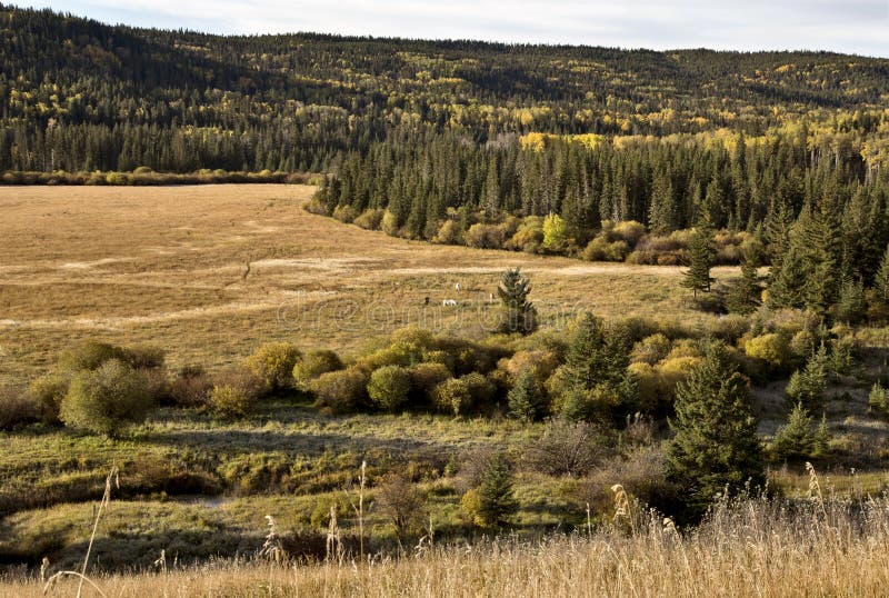 Autumn Colors- Und Holzspanstapel Stockbild - Bild von colors, autumn