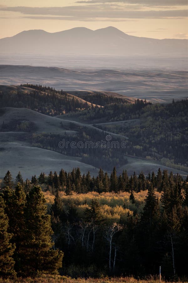 Autumn Colors Cypress Hills Canada Stock Image Image of environment