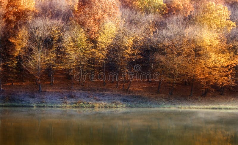 Autumn colors on a forest near a lake