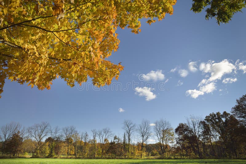 Autumn colors,green field. stock image. Image of midwest - 61405303