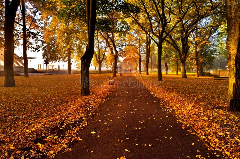 Autumn colors, Jurmala, Latvia